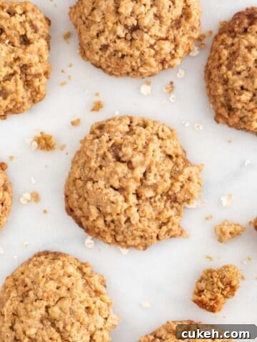 Lots of vegan oatmeal cookies on a marble slab.