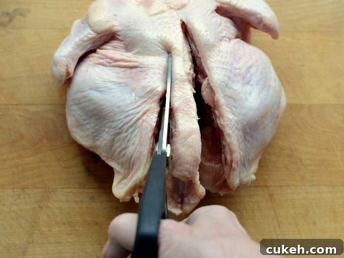 spatchcocked raw chicken