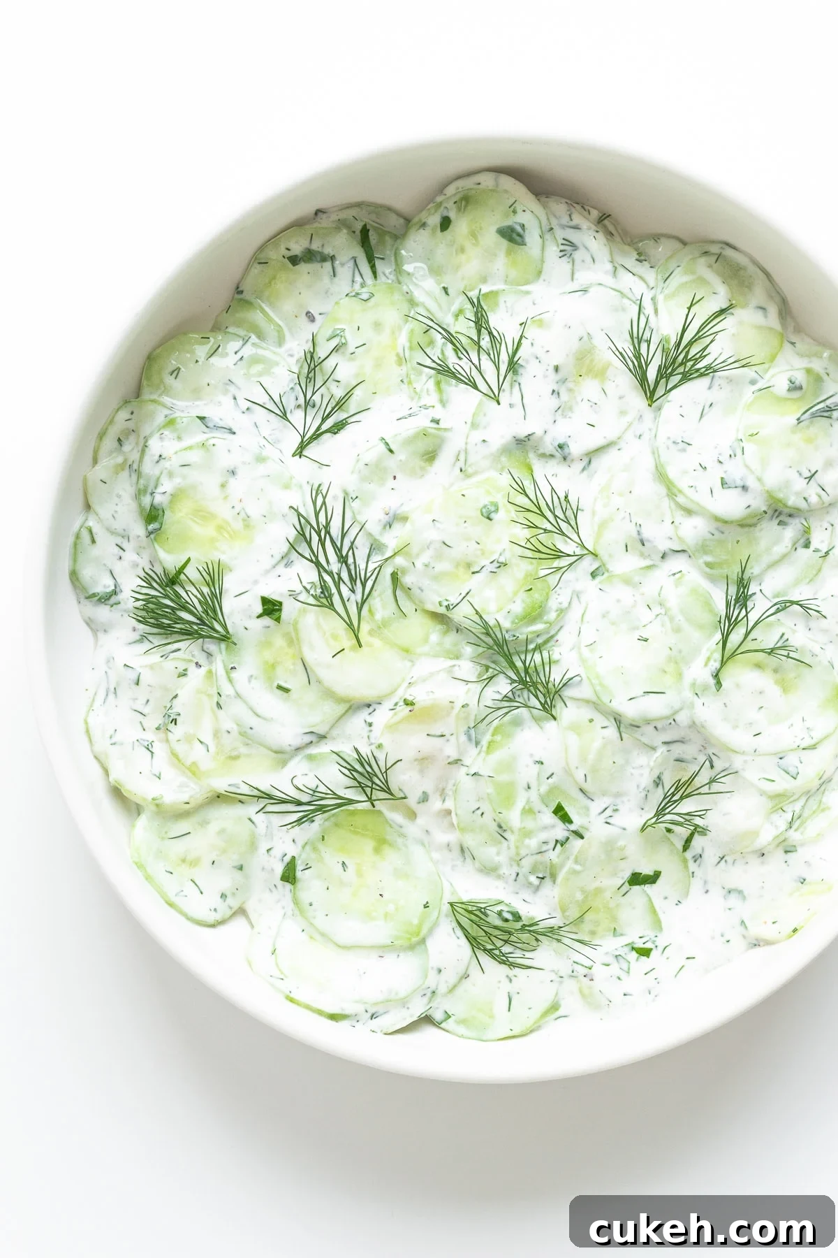 Overhead photo of creamy German cucumber salad in a white bowl.