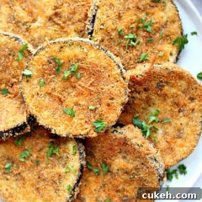 Square image of baked crispy eggplant on a white plate.