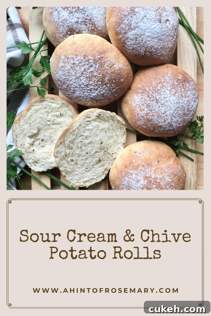 Sour Cream and Chive Potato Dinner Rolls 11 Sour Cream & Chive Potato Rolls
