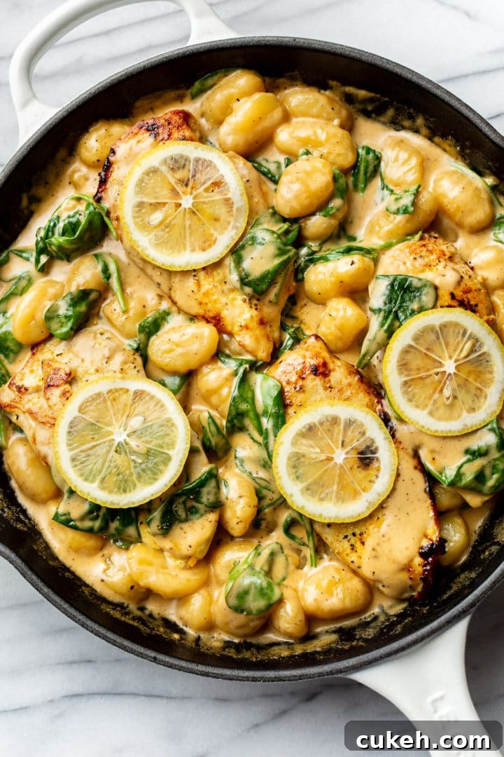 Creamy Lemon Chicken Gnocchi Recipe for Weeknight Dinners 2 the best creamy chicken gnocchi in a skillet