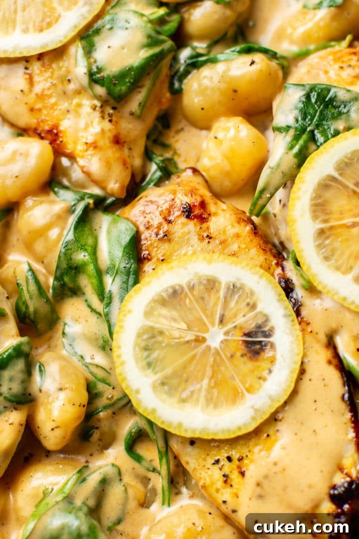 Creamy Lemon Chicken Gnocchi Recipe for Weeknight Dinners 7 close-up of creamy lemon chicken gnocchi