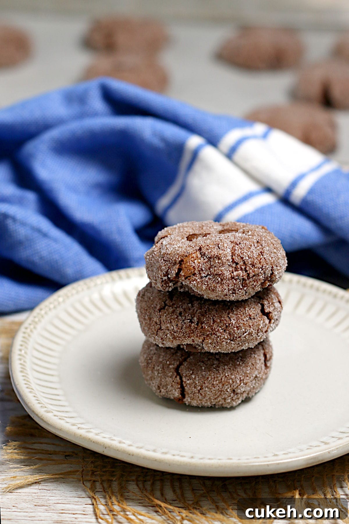 Vegan Double Chocolate Cookies with Tofu