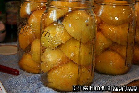 how-to-can-peach-halves