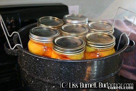 how-to-can-peach-halves