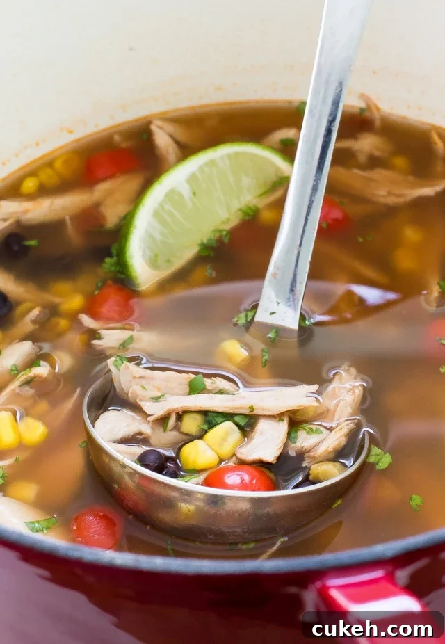 turkey tortilla soup in ladle over pot