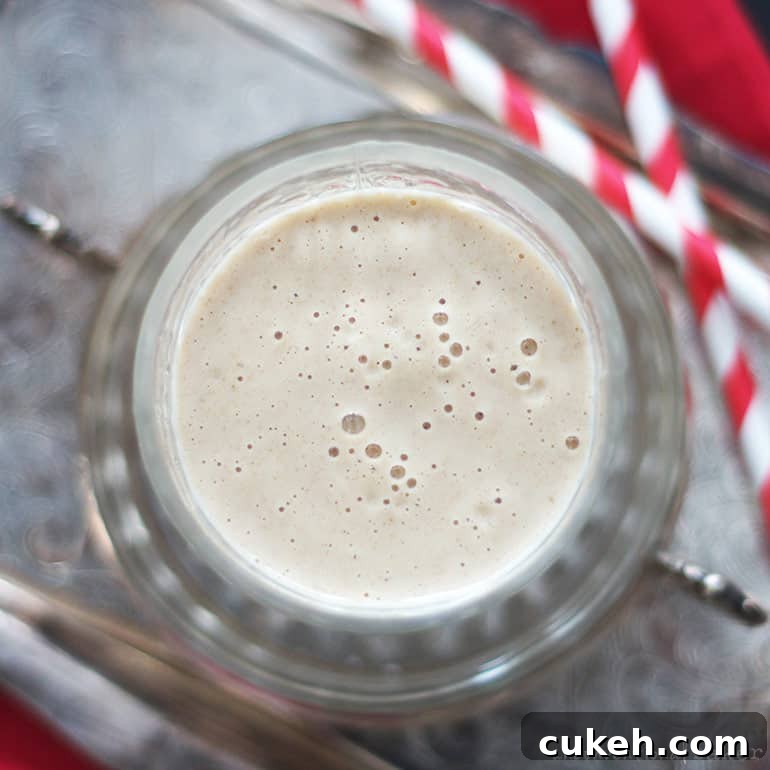 instant vegan eggnog, dairy-free and refined sugar-free