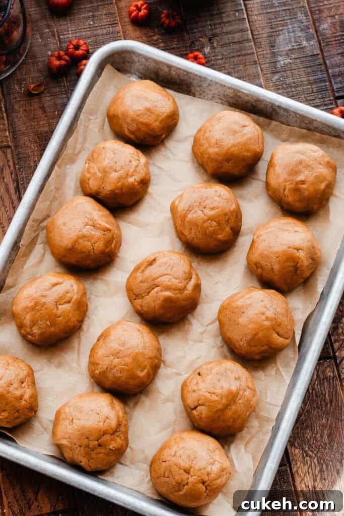 Cookie dough balls scooped and lined up in rows on a baking sheet.