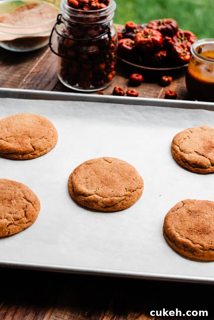 A pan of baked pumpkin cookies.