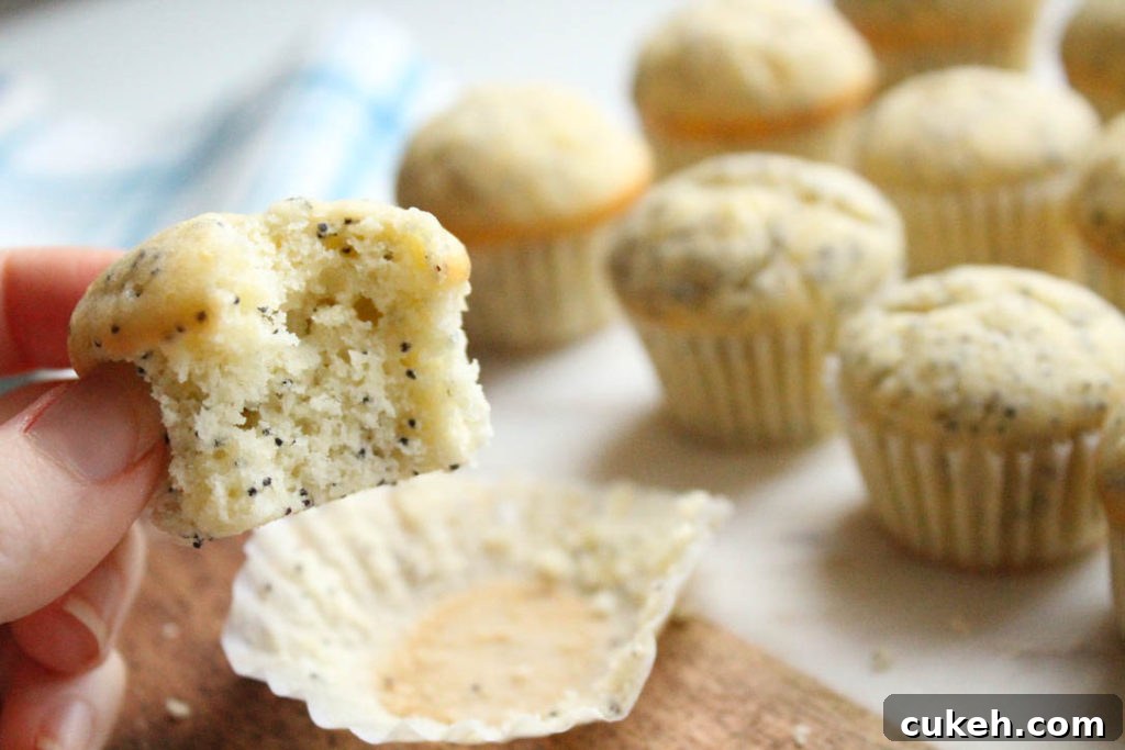 bite taken out of a lemon poppyseed muffin. 
