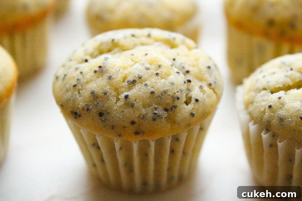 up close of a lemon poppyseed muffin. 