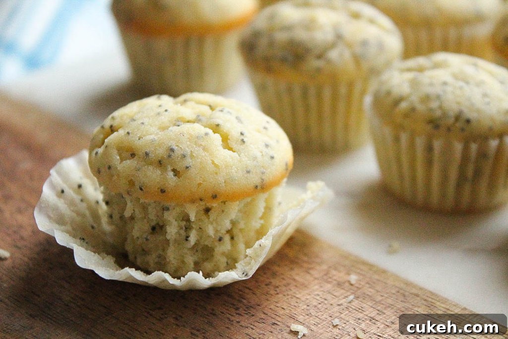 mini lemon poppyseed muffin with wrapping taken off. 