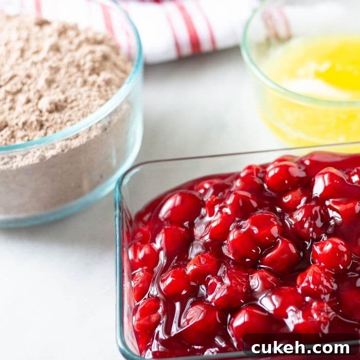 Decadent Instant Pot Black Forest Cobbler Recipe with Video 4 instant pot cake mix dessert