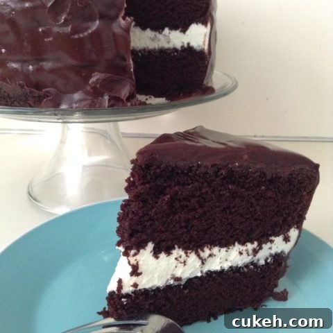 Gluten-Free Ding Dong Chocolate Cake Recipe — Moist Chocolate Layer Cake 2 img 52 2