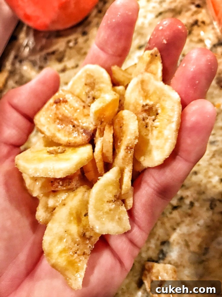 Morning Breakfast Bread Recipes for Quick Homemade Loaves 8 Dried banana slices