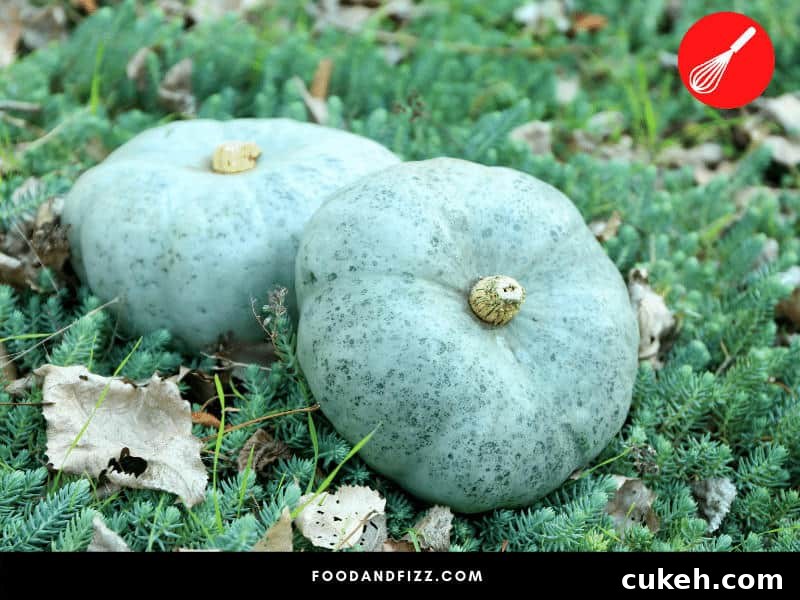 Blue Foods Guide: Fruits, Vegetables, Meats & Spices Explained 7 Blue Jarrahdale Pumpkin