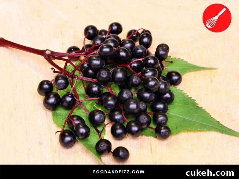 Blue Foods Guide: Fruits, Vegetables, Meats & Spices Explained 5 Elderberries