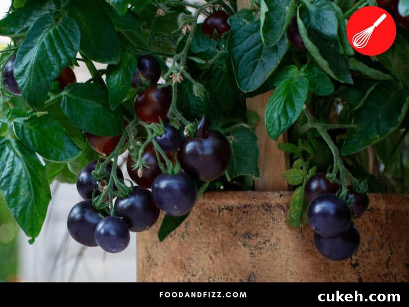 Blue Foods Guide: Fruits, Vegetables, Meats & Spices Explained 6 Blue Tomatoes