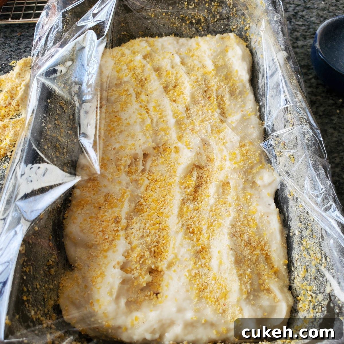 batter in loaf pan sprinkled with cornmeal and loosely covered with plastic wrap.