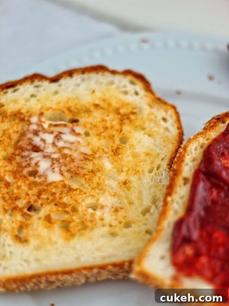 two slices of toasted bread on white plate.