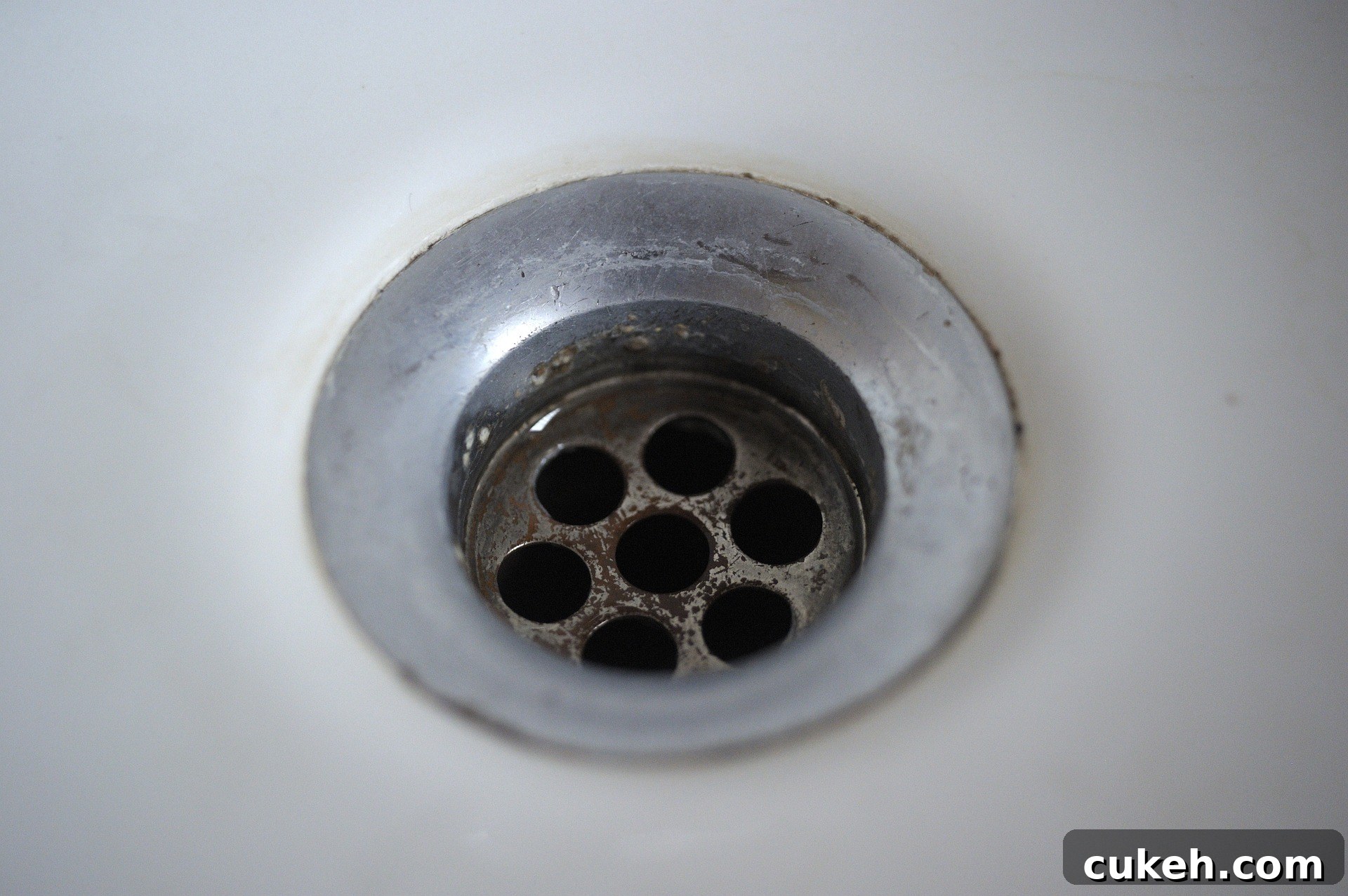 Drain maintenance to prevent fruit flies