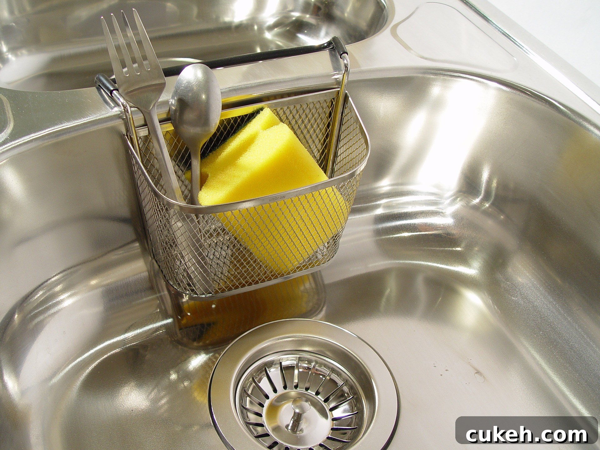 Keep sinks and counters clean to prevent fruit flies