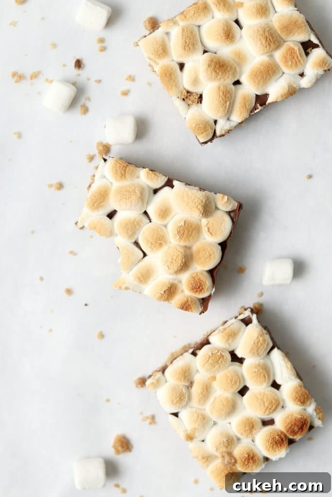 3 marshmallow chocolate bars