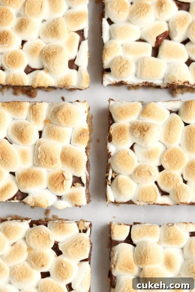 s'mores bars with toasted marshmallows