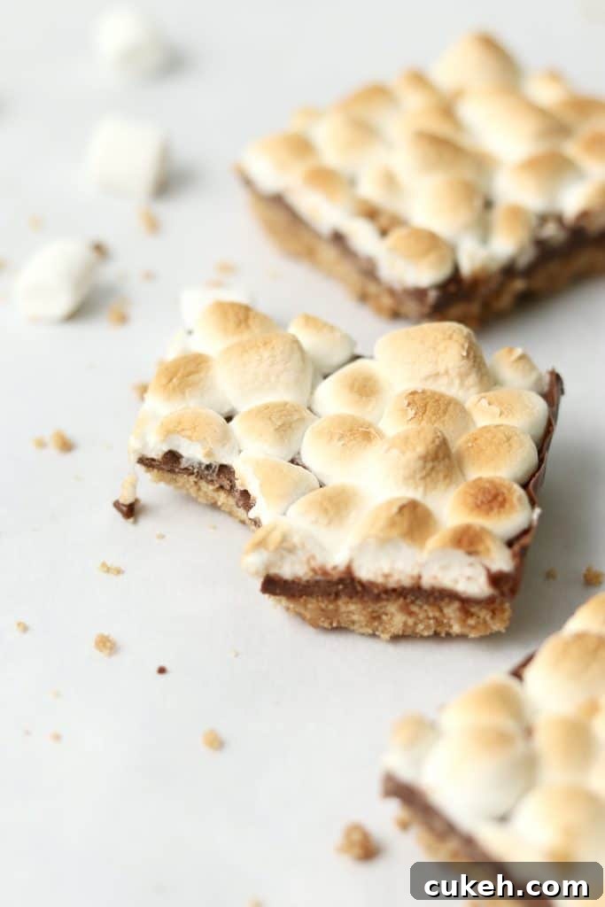 s'mores bar with bite taken