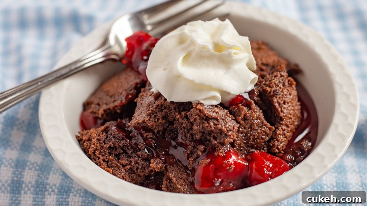 Chocolate cherry dump cake in a white bowl with a dollop of whipped cream.