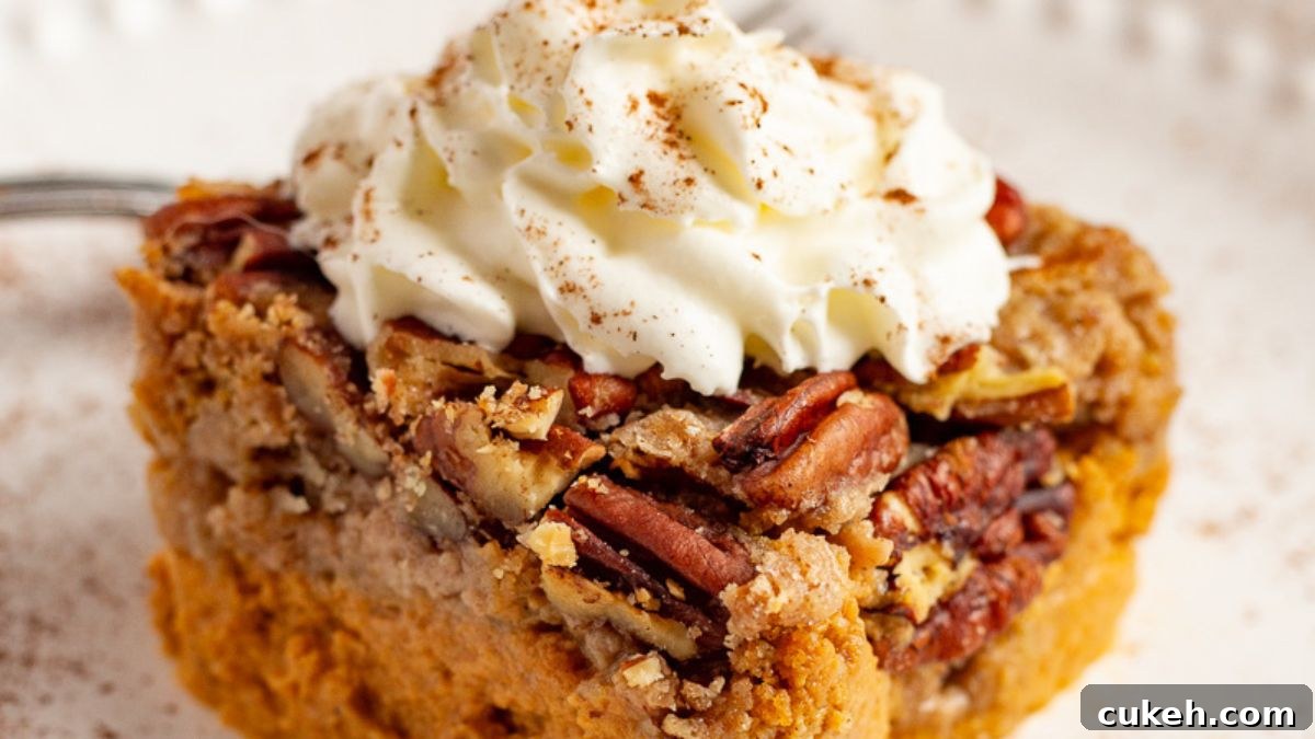 Pumpkin dump cake on a white plate with whipped cream.