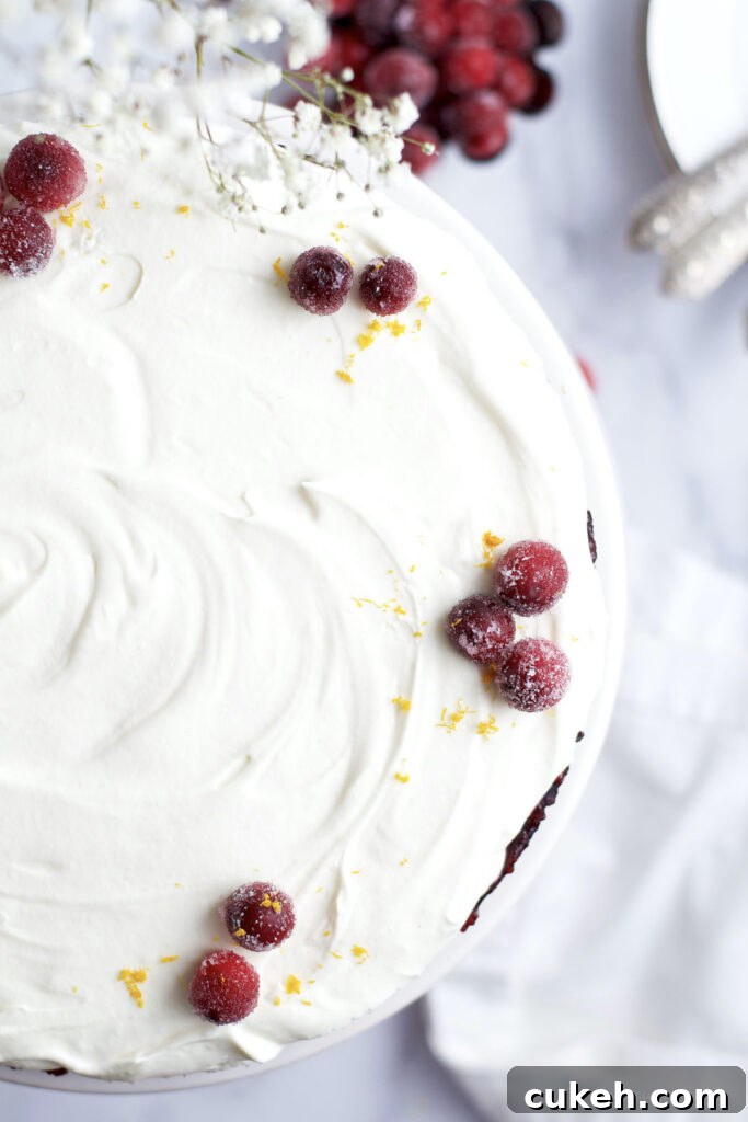 white chocolate-cranberry tart with sugared cranberries and orange zest