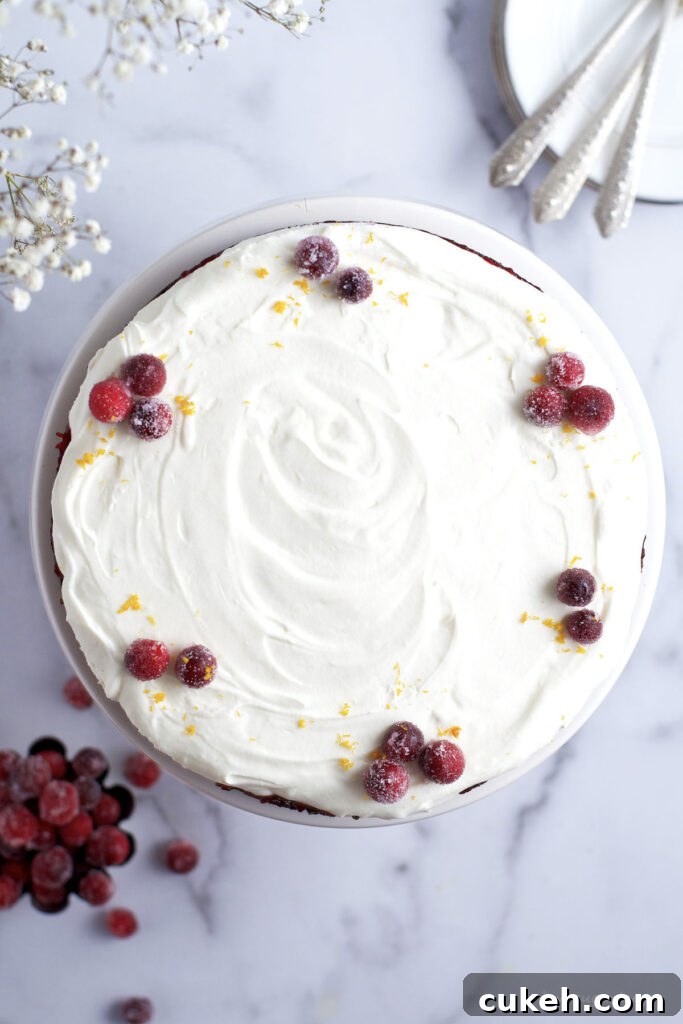 top down look at white chocolate mousse tart