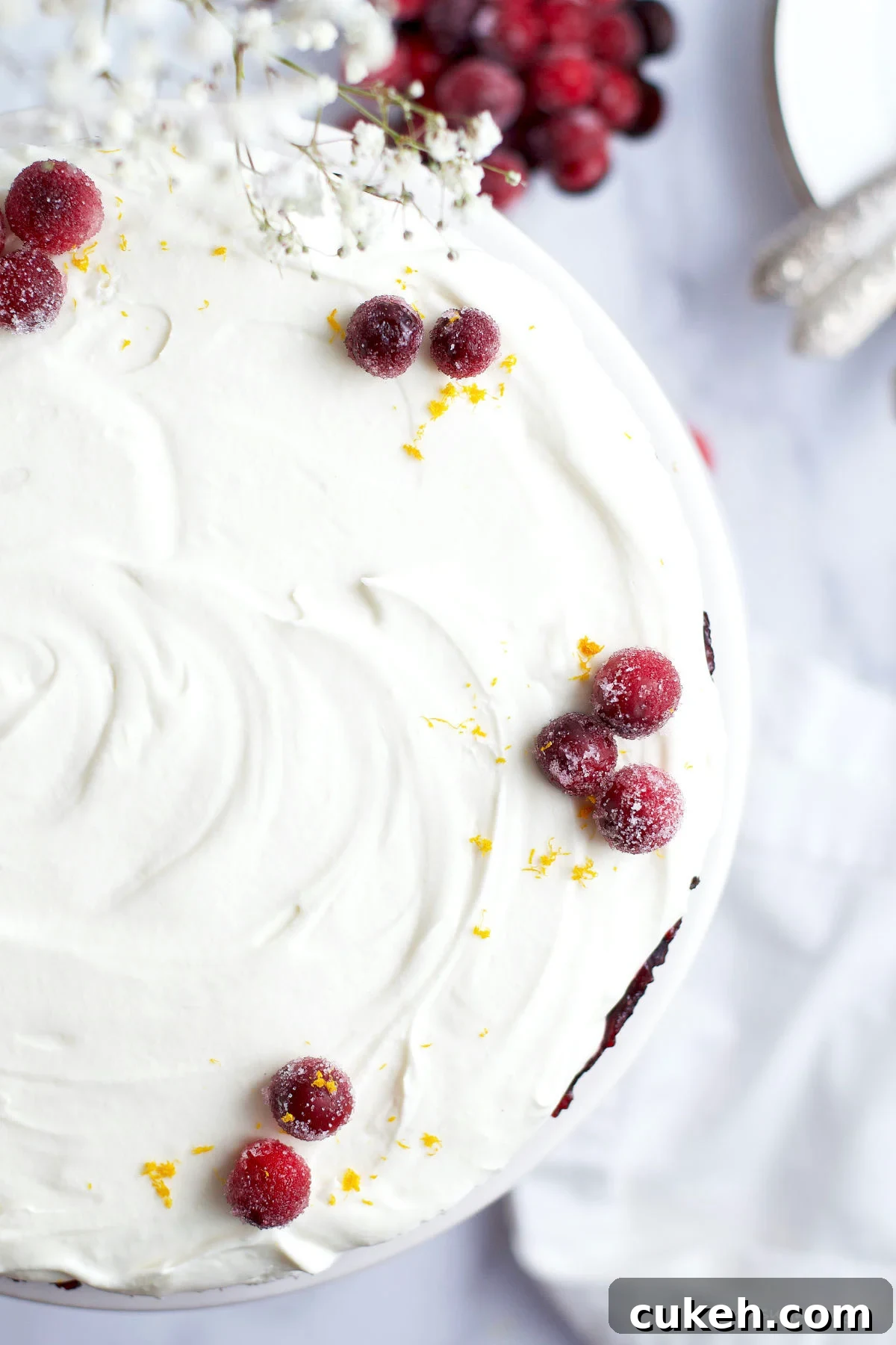white chocolate-cranberry tart with sugared cranberries and orange zest