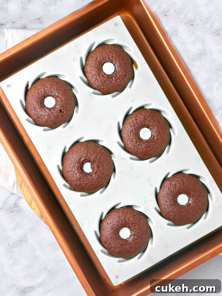 Mini Chocolate Bundt Cakes with Chocolate Glaze 7 Light gray mini bundt pan with chocolate cakes. Gray background.