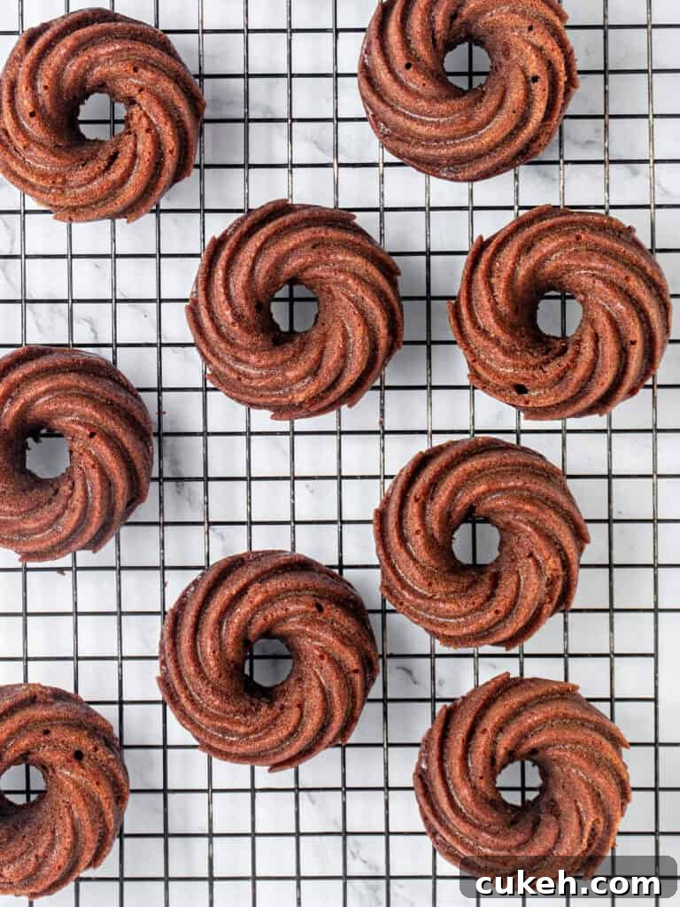 Mini Chocolate Bundt Cakes with Chocolate Glaze 8 Black wire rack with mini chocolate bundt cakes. Top view. White background.