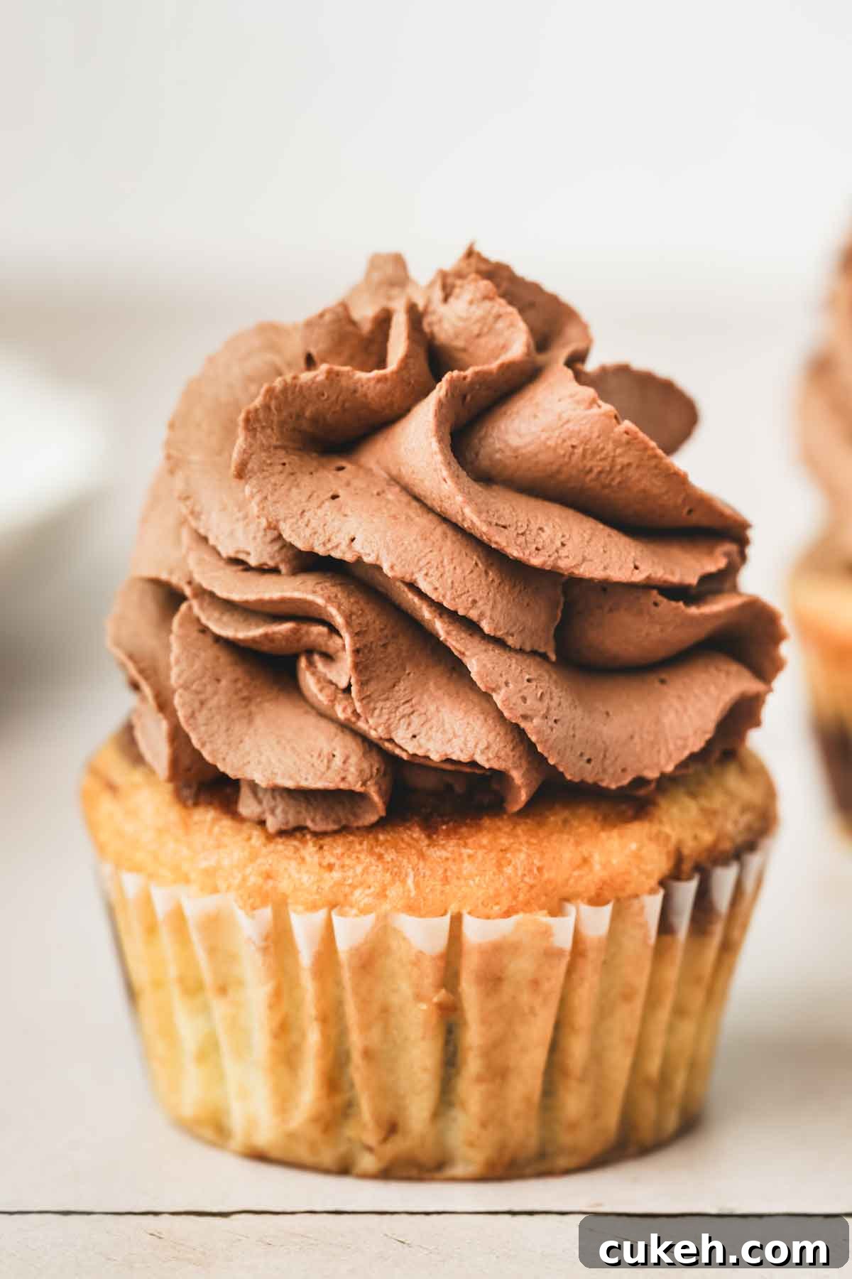 Marble Cupcakes Recipe: Swirled Chocolate-Vanilla Cupcakes 12 chocolate marble cupcake topped with ganache