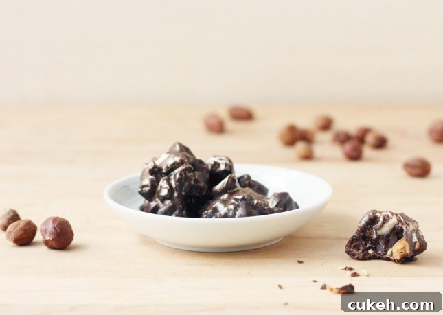 Dark Chocolate, Roasted Hazelnut, and Dried Cherry Bites
