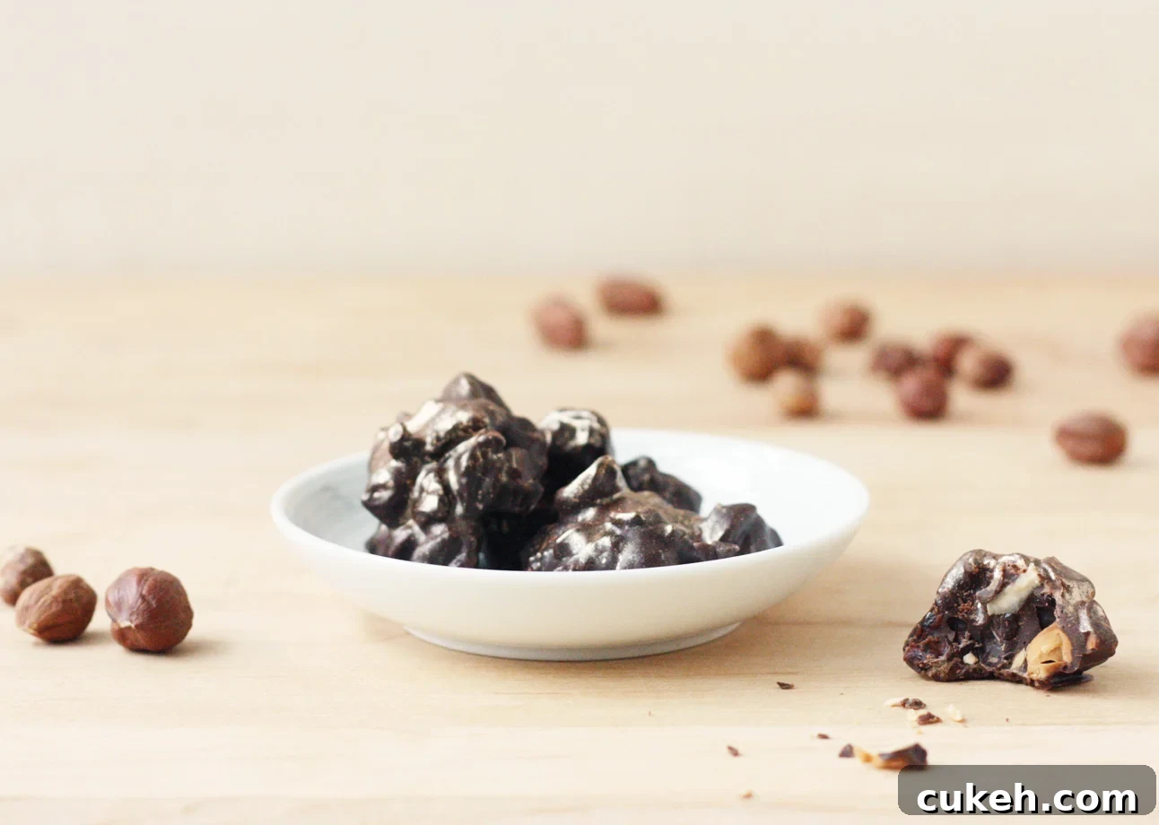 Dark Chocolate, Roasted Hazelnut, and Dried Cherry Bites
