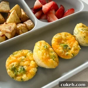 15 Nutritious Broccoli Recipes for Babies and Toddlers 18 img 7395 17