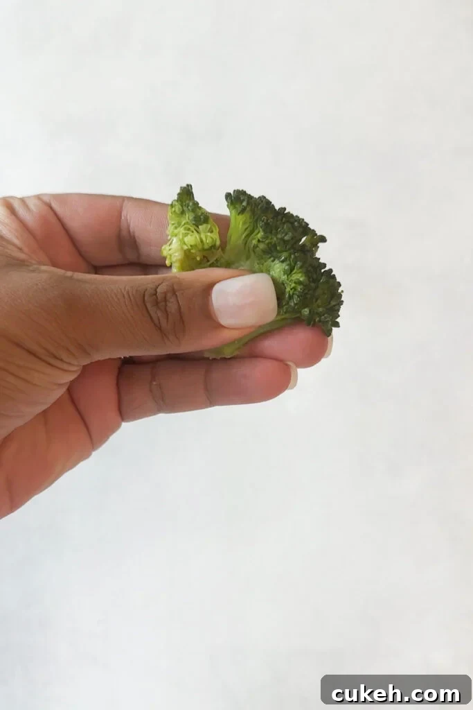 15 Nutritious Broccoli Recipes for Babies and Toddlers 3 Broccoli floret smooshed between fingers.