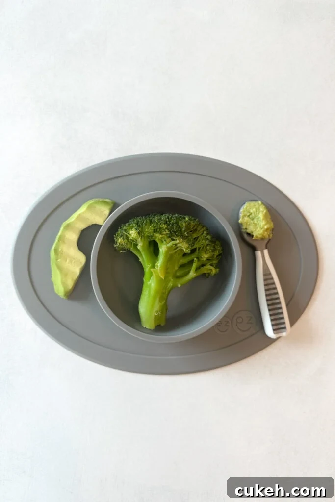 15 Nutritious Broccoli Recipes for Babies and Toddlers 4 Broccoli meal for baby led weaning.