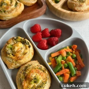 15 Nutritious Broccoli Recipes for Babies and Toddlers 6 Broccoli and cheese pinwheels served with raspberries and mixed veggies.