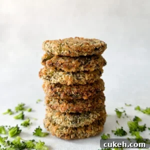 15 Nutritious Broccoli Recipes for Babies and Toddlers 10 Air fried broccoli patties.
