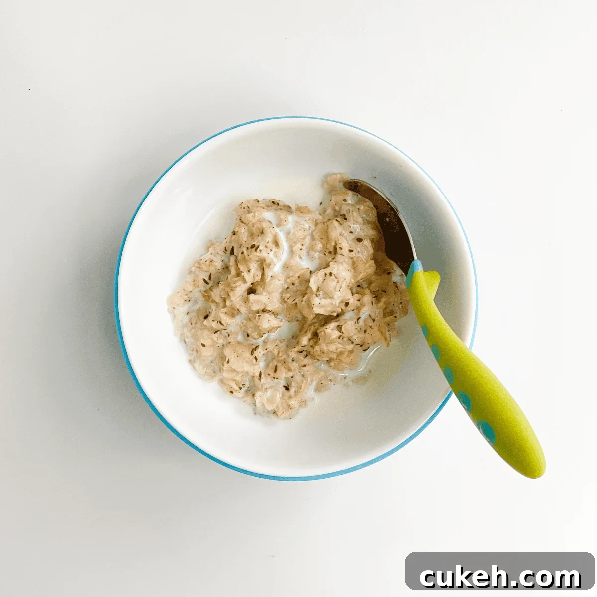 Oatmeal Bowl