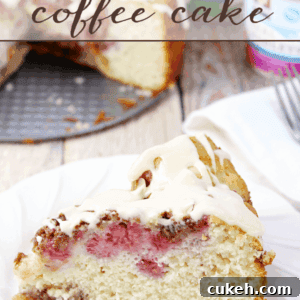 Raspberry Pecan Coffee Cake Recipe with Crumb Topping 3 img 7615 9