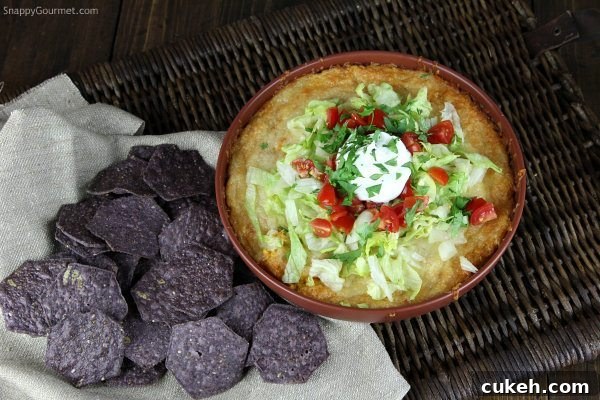 Chicken Enchilada Dip with tortilla chips