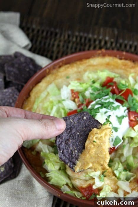 tortilla chip dipped in Chicken Enchilada Diip