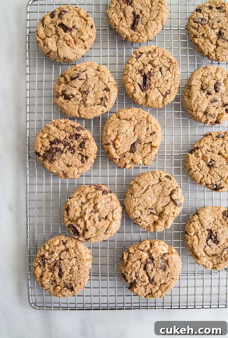 Chocolate Chunk Oatmeal Cookies 